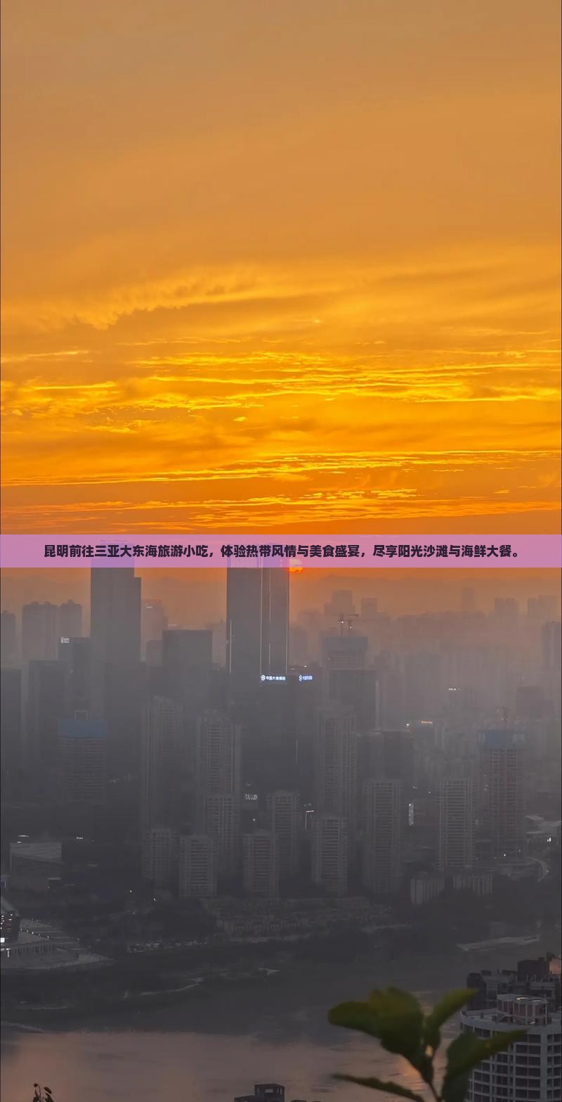 昆明前往三亚大东海旅游小吃