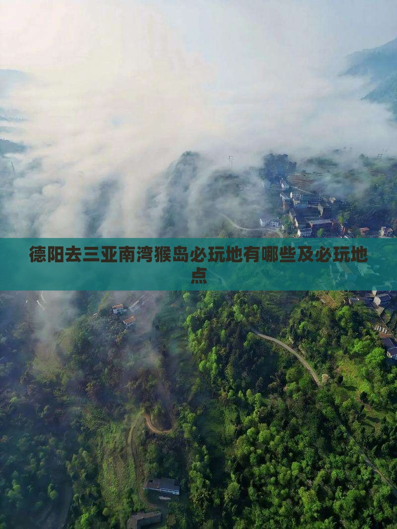 德阳去三亚南湾猴岛必玩地