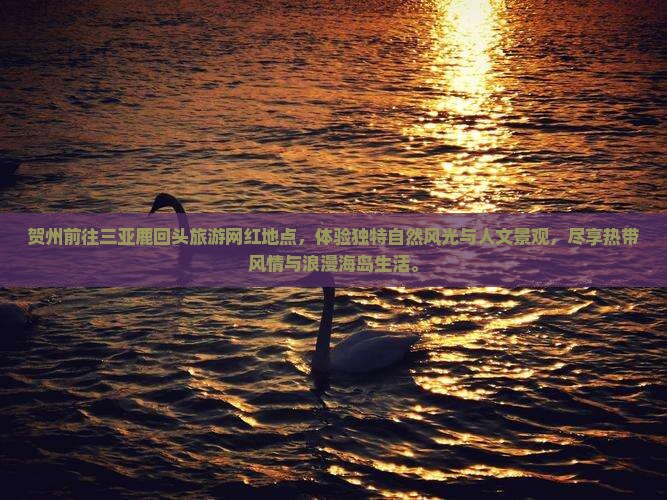 贺州前往三亚鹿回头旅游网红地点