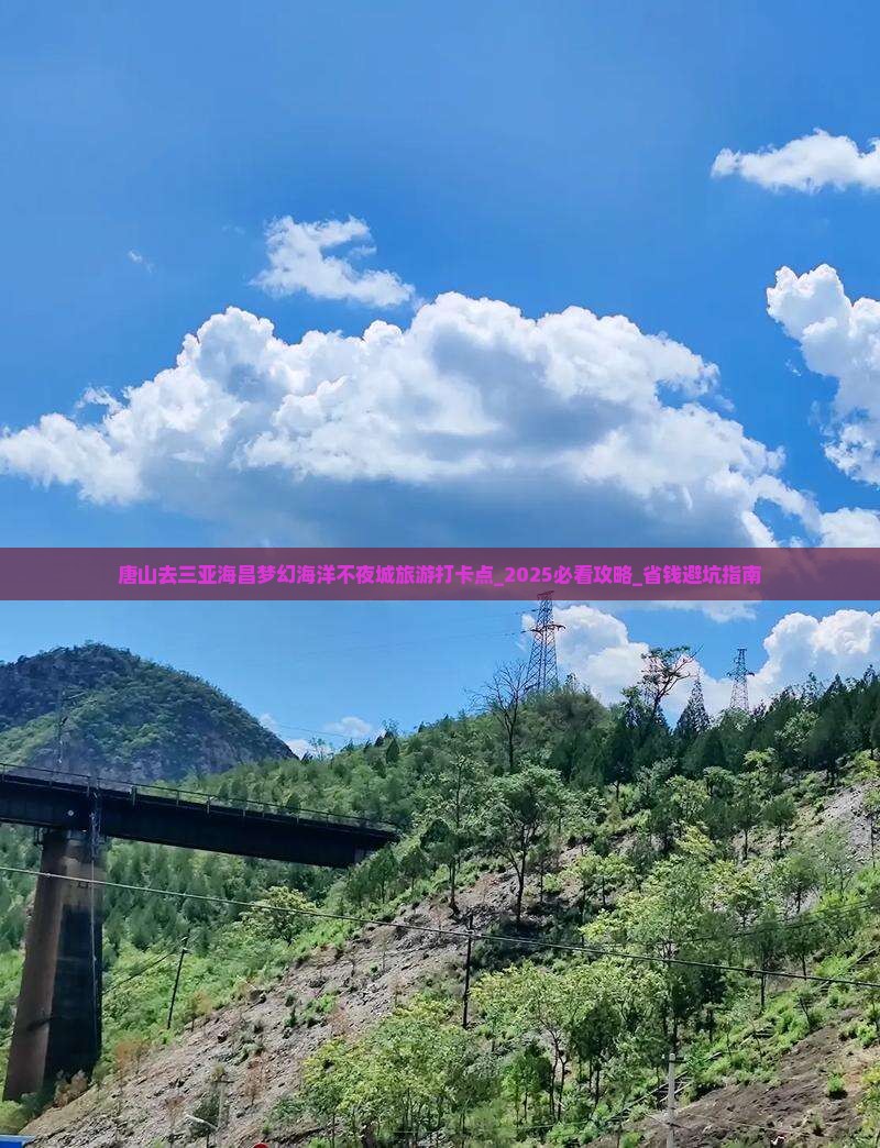 唐山去三亚海昌梦幻海洋不夜城旅游打卡点