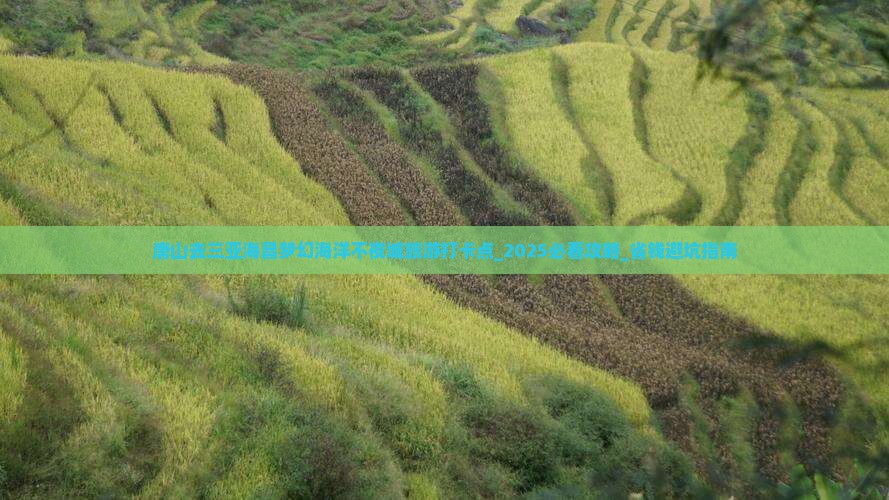 唐山去三亚海昌梦幻海洋不夜城旅游打卡点