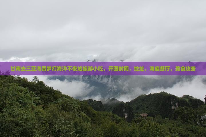 甘南去三亚海昌梦幻海洋不夜城旅游小吃 甘南去三亚海昌梦幻海洋不夜城旅游小吃