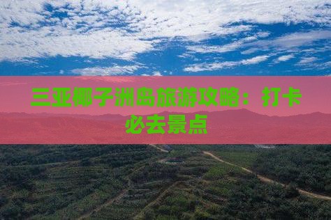 甘孜去三亚椰子洲岛旅游打卡点