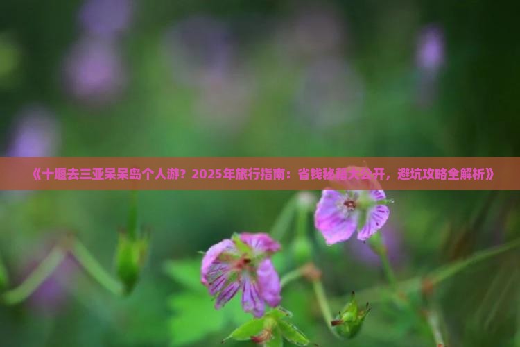 十堰去三亚呆呆岛个人游