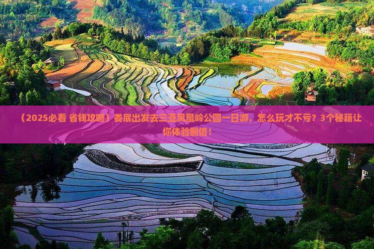 娄底去三亚凤凰岭公园一日游