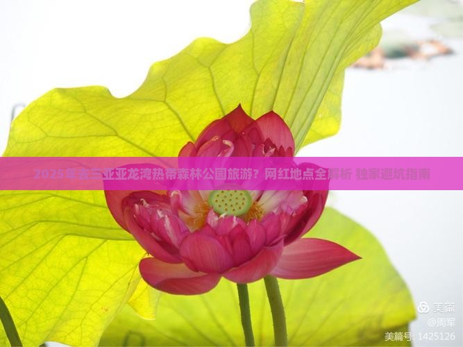 西宁前往三亚亚龙湾热带森林公园旅游网红地点