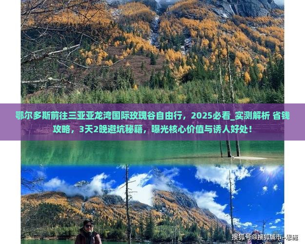 鄂尔多斯前往三亚亚龙湾国际玫瑰谷自由行
