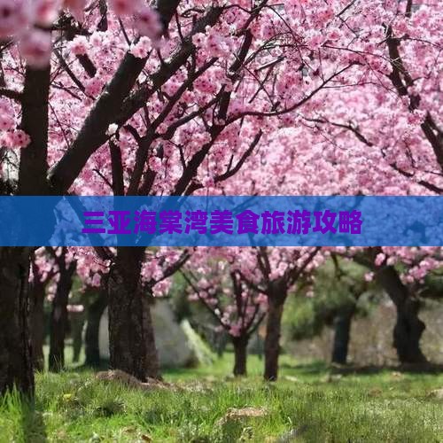 天津去三亚海棠湾旅游小吃 天津去三亚海棠湾旅游小吃