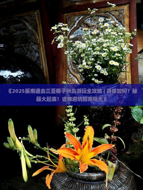 南通去三亚椰子洲岛必玩地