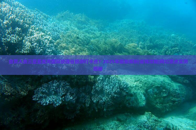 自贡出发三亚亚龙湾国际玫瑰谷旅游打卡点