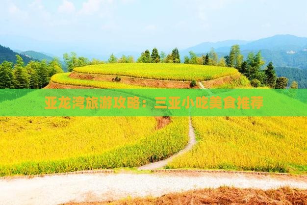 鹤壁前往三亚亚龙湾热带森林公园旅游小吃