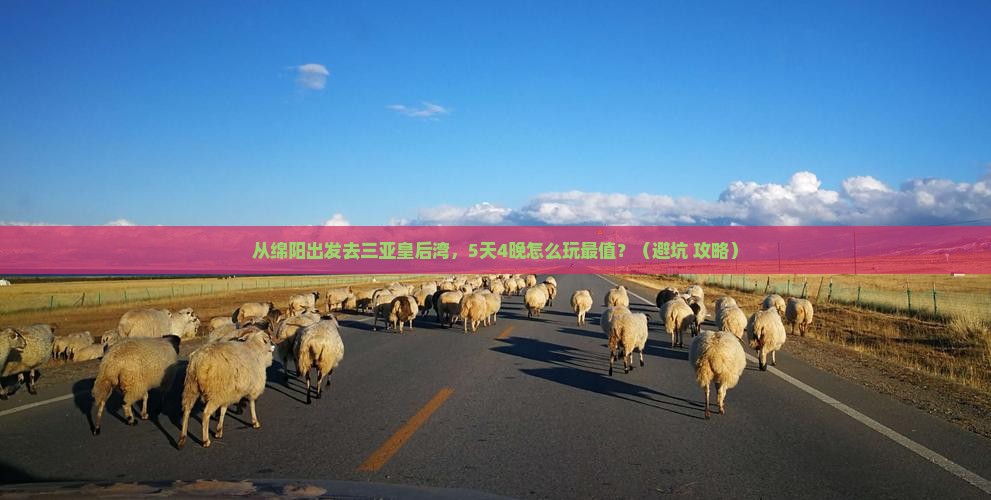 绵阳前往三亚皇后湾旅行社