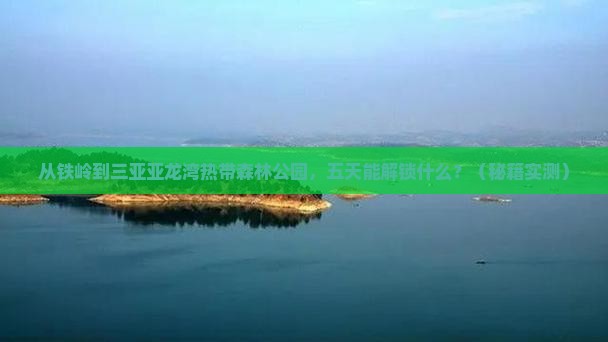 铁岭去三亚亚龙湾热带森林公园五日游