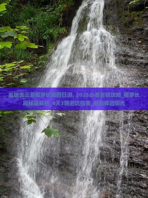 盐城去三亚椰梦长廊四日游