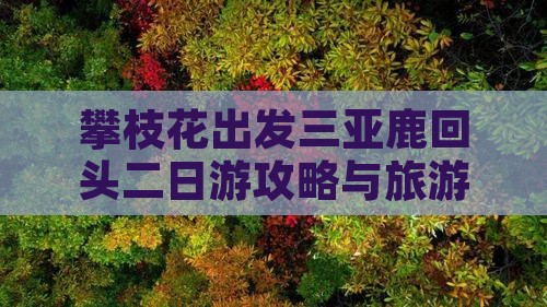 攀枝花出发三亚鹿回头二日游
