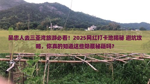 吴忠去三亚三亚湾旅游网红地点