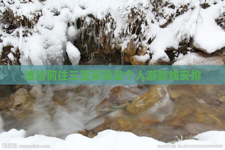 潍坊前往三亚呆呆岛个人游