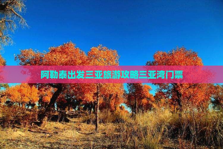 阿勒泰出发三亚三亚湾门票
