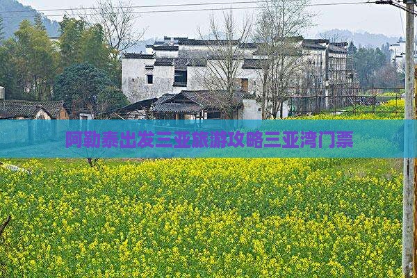 阿勒泰出发三亚三亚湾门票