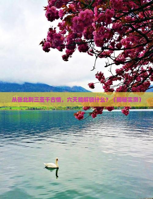 张北去三亚千古情六日游