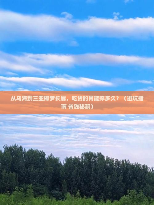 乌海市去三亚椰梦长廊旅游小吃