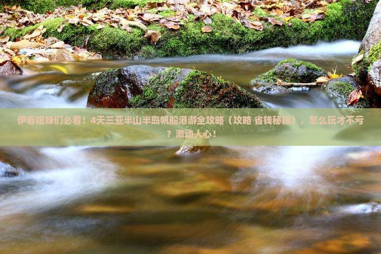 伊春前往三亚半山半岛帆船港四日游