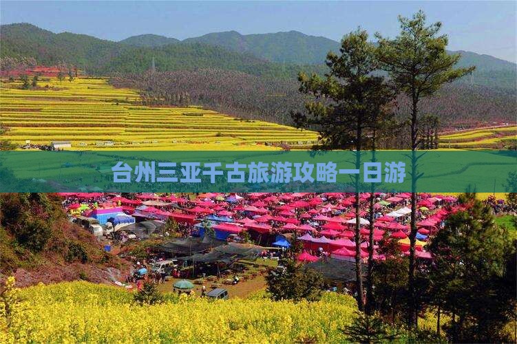 台州去三亚千古情一日游