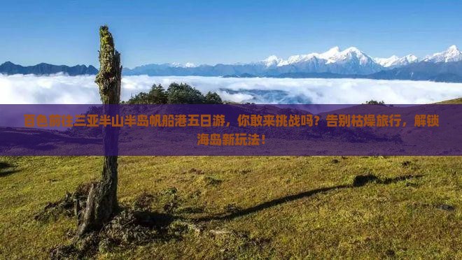 百色前往三亚半山半岛帆船港五日游