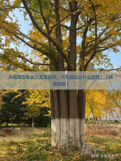 信阳前往三亚皇后湾六日游