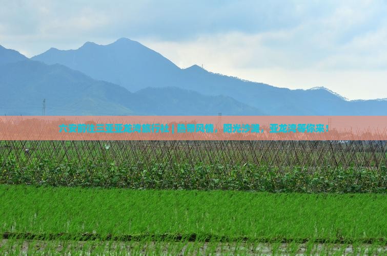 六安前往三亚亚龙湾旅行社