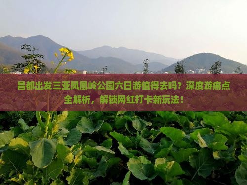 昌都出发三亚凤凰岭公园六日游