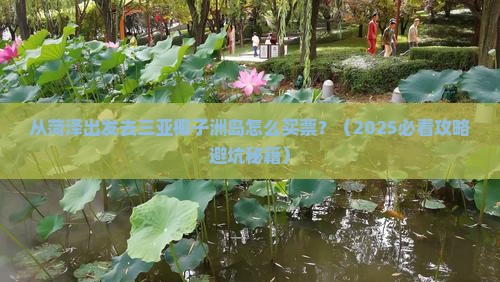 菏泽前往三亚椰子洲岛门票