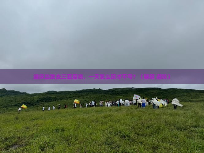 迪庆去三亚后海一日游