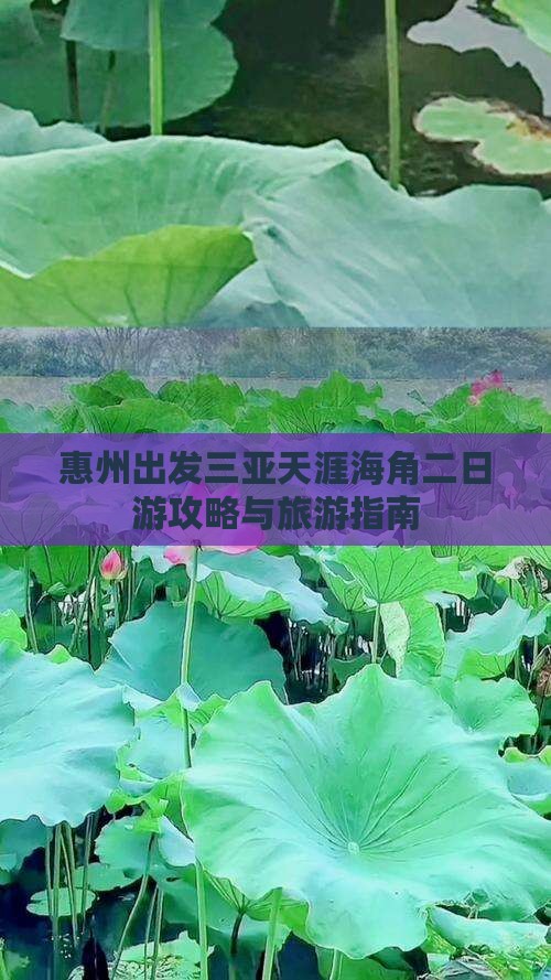 惠州去三亚天涯海角二日游
