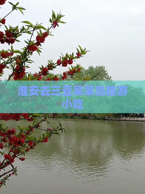 淮安去三亚呆呆岛旅游小吃