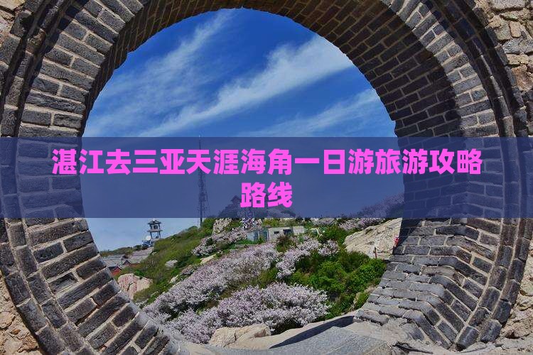 湛江去三亚天涯海角一日游