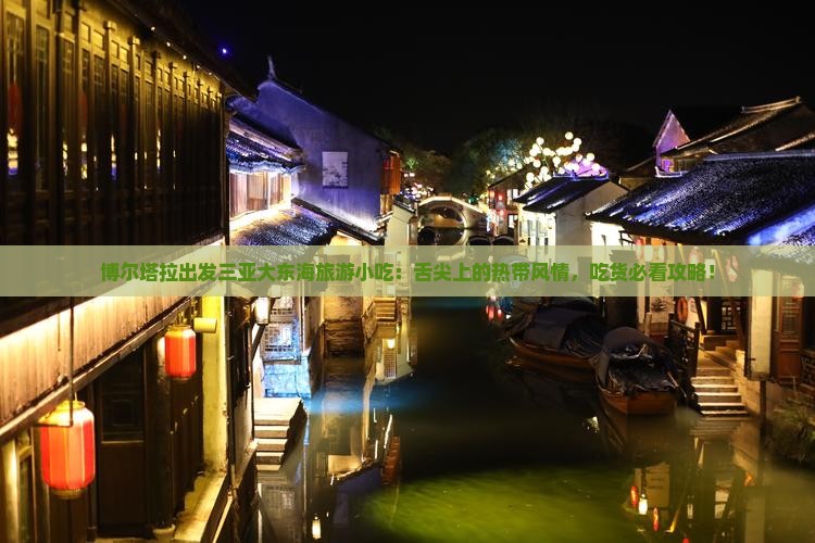 博尔塔拉出发三亚大东海旅游小吃