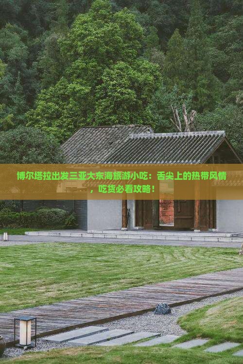 博尔塔拉出发三亚大东海旅游小吃