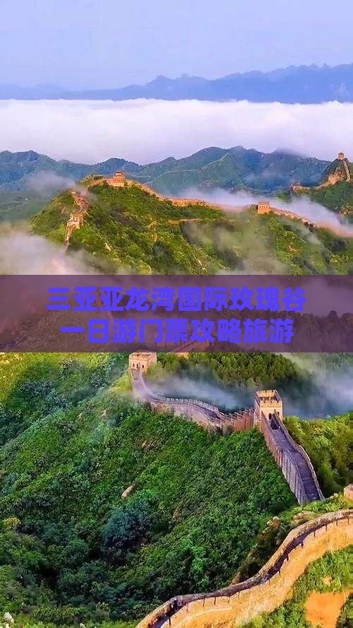 百色去三亚亚龙湾国际玫瑰谷一日游
