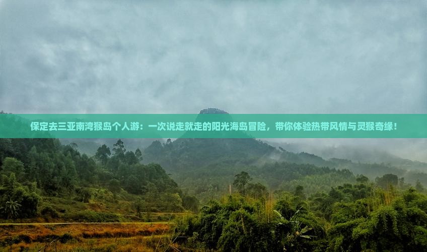 保定去三亚南湾猴岛个人游
