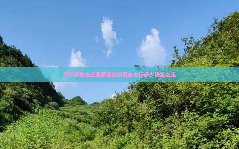 鄂尔多斯去三亚呀诺达景区自由行