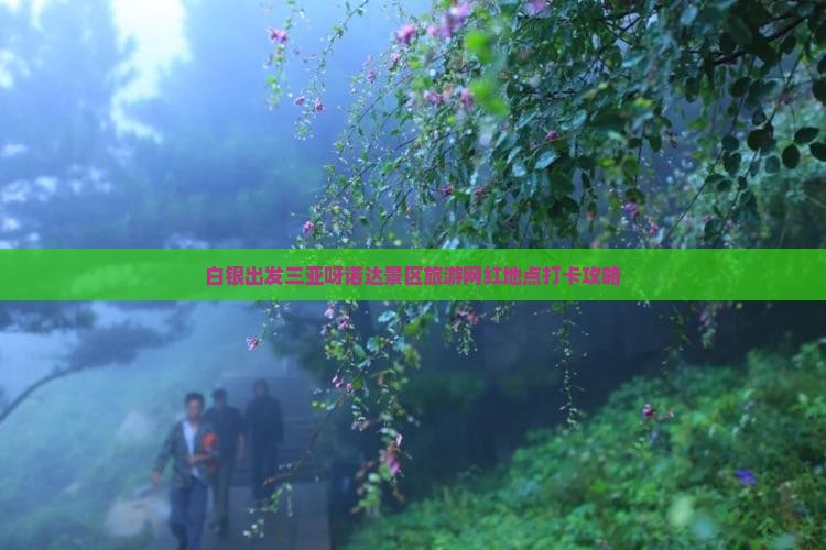 白银出发三亚呀诺达景区旅游网红地点
