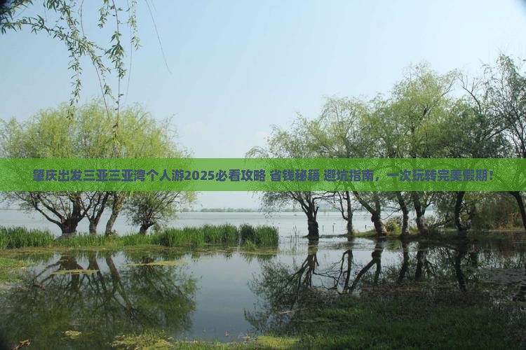 肇庆出发三亚三亚湾个人游