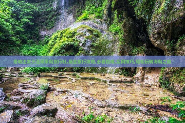 塔城出发三亚呆呆岛旅行社 塔城出发三亚呆呆岛旅行社