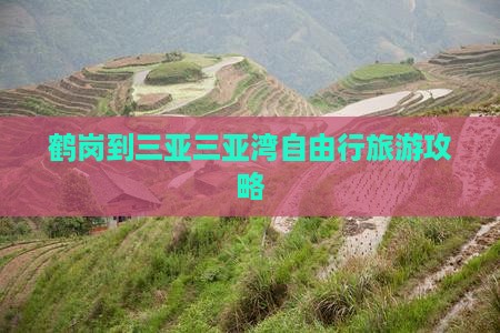 鹤岗去三亚三亚湾自由行