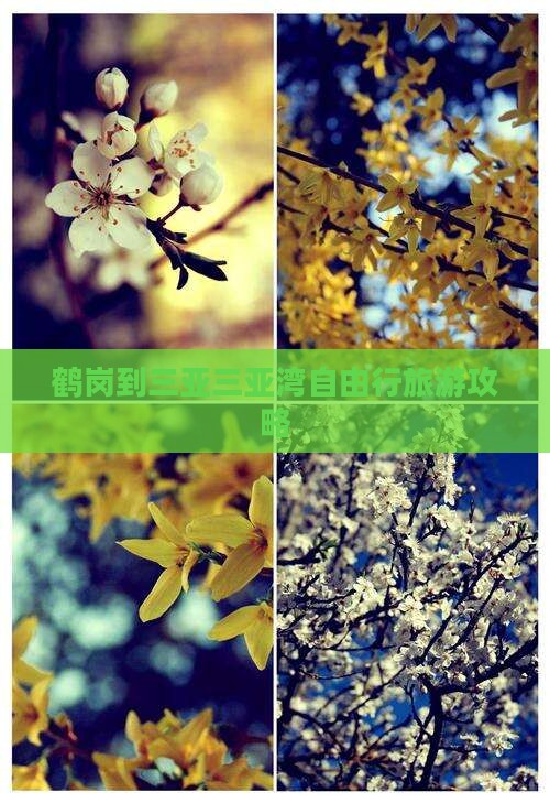 鹤岗去三亚三亚湾自由行