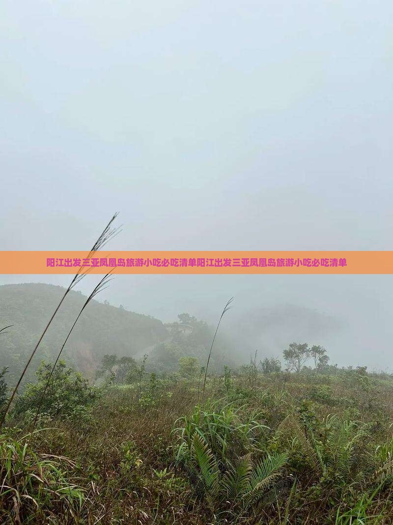 阳江出发三亚凤凰岛旅游小吃