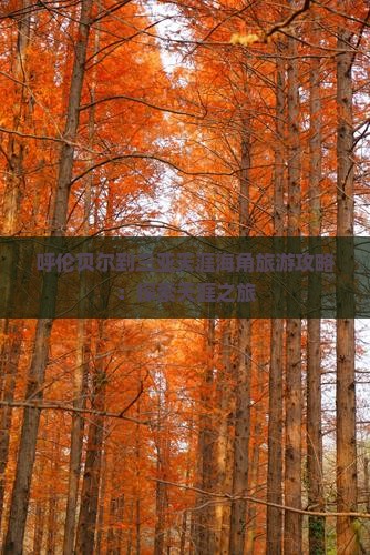 呼伦贝尔去三亚天涯海角旅游