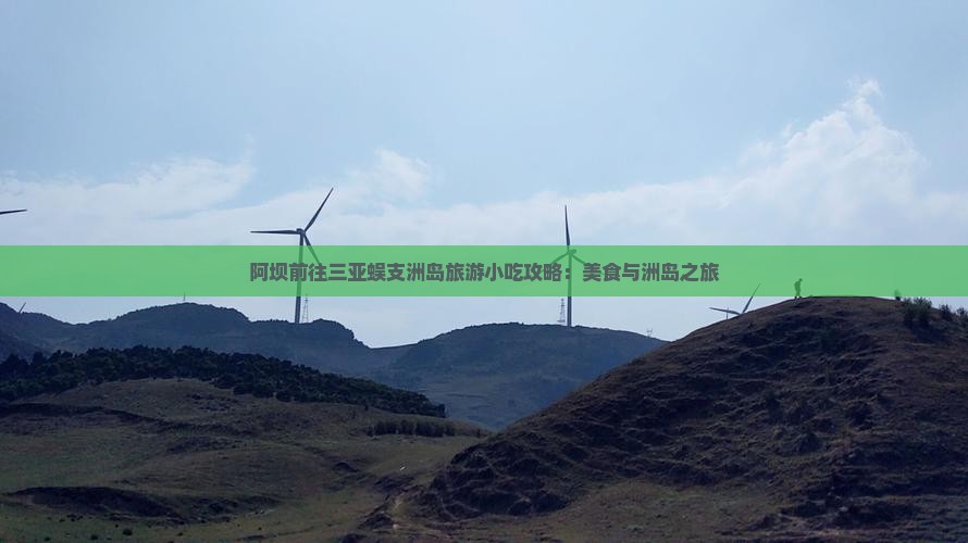 阿坝前往三亚蜈支洲岛旅游小吃