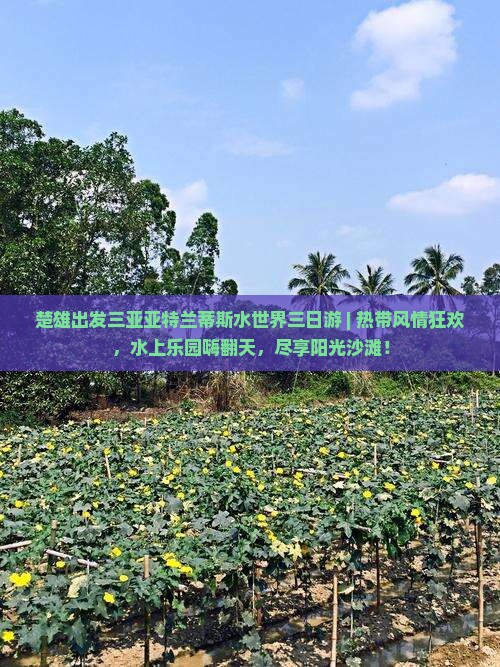 楚雄出发三亚亚特兰蒂斯水世界三日游